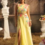 Serena Saree Set